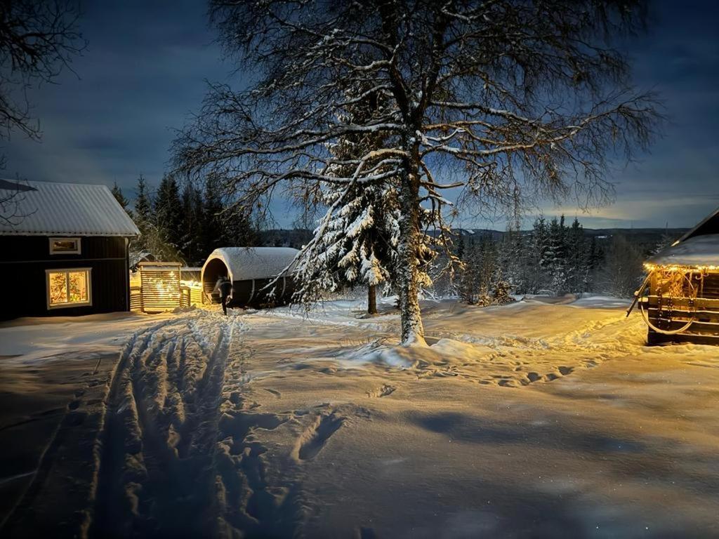 Forest Cabin With Stunning Mountain View & Sauna Torsby Luaran gambar
