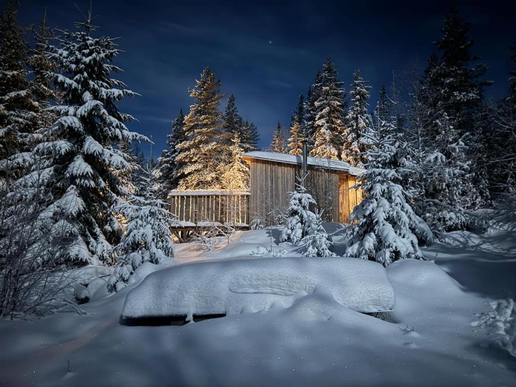 Forest Cabin With Stunning Mountain View & Sauna Torsby Luaran gambar