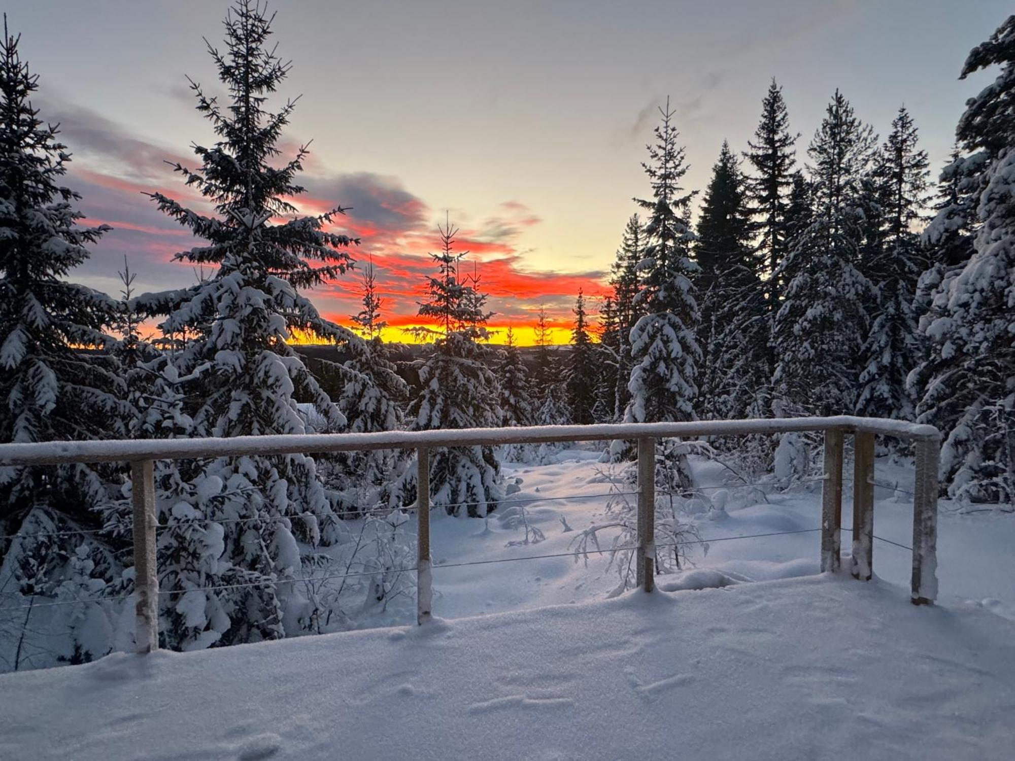 Forest Cabin With Stunning Mountain View & Sauna Torsby Luaran gambar